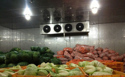 蔬菜保鮮庫 食品冷庫建設專家